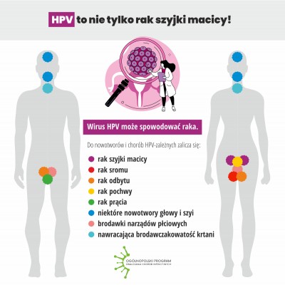 ulotka, na szkieletach damskim i męskim zaznaczone organy narażone na choroby HPV