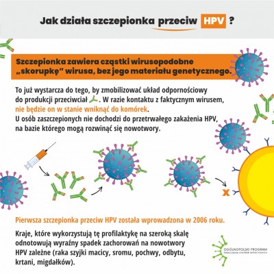 ulotka, informacja jak działa szczepionka przeciw HPV
