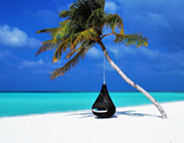 palma z hamakiem na piaszczystej plaży
